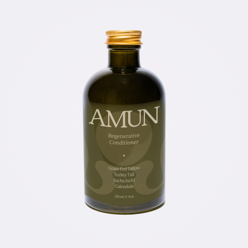 REGENERATIVE CONDITIONER