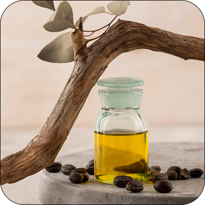 Jojoba Oil